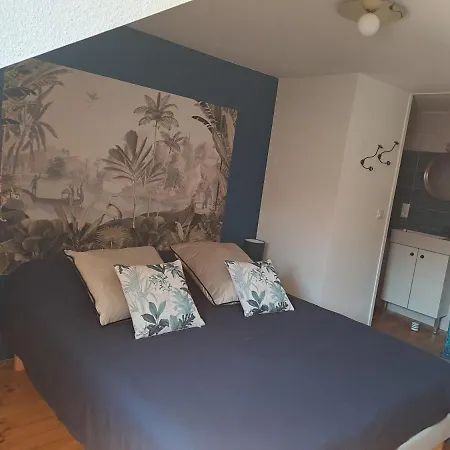 D'hote Le Jardin Des Thermes 3* Vichy