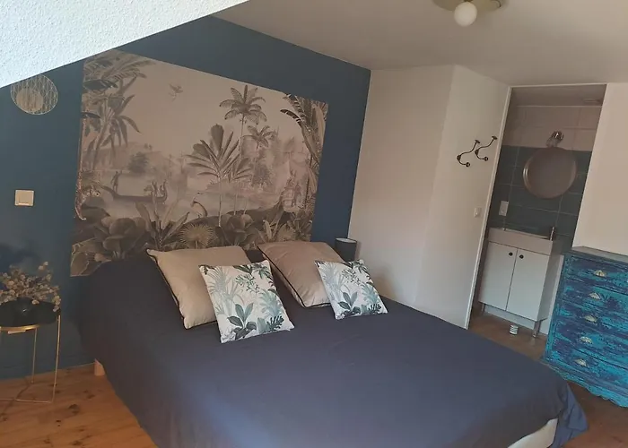 D'hote Le Jardin Des Thermes 3* Vichy